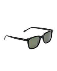 Electric Visual - Unisex - Birch Sunglasses