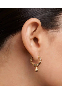 Pdpaola - Women's Lava Single Hoop Earring