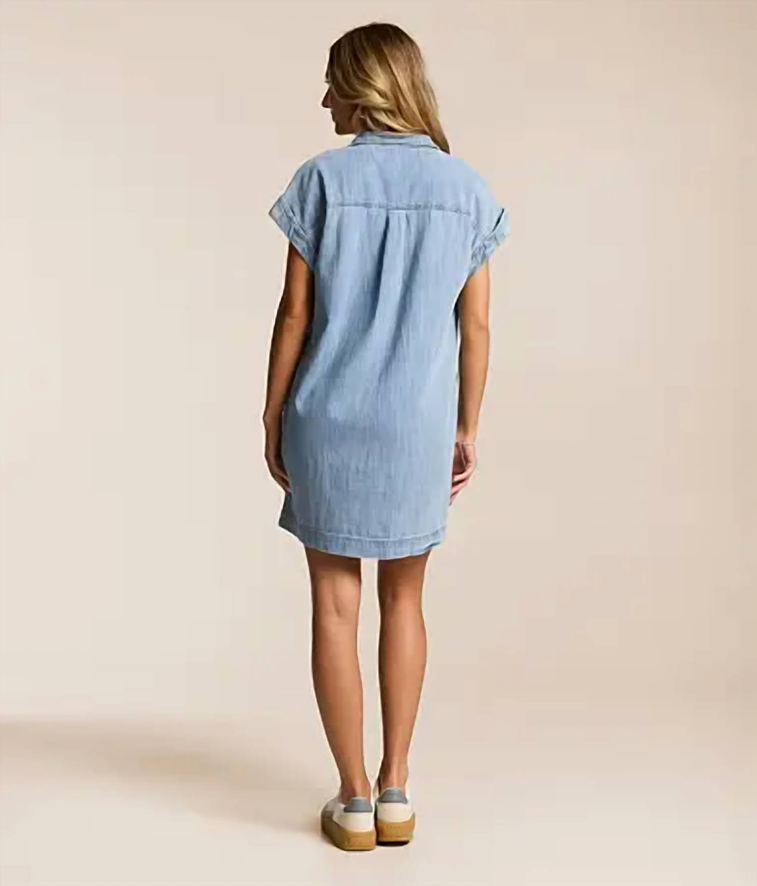 Z Supply - Napa Denim Mini Dress