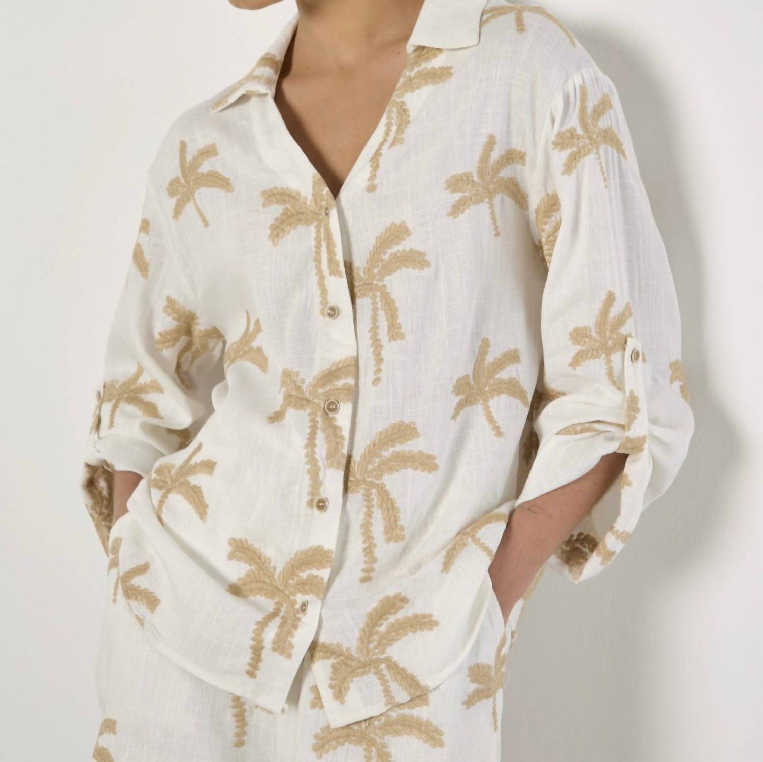 Apricot - Palm Tree Top