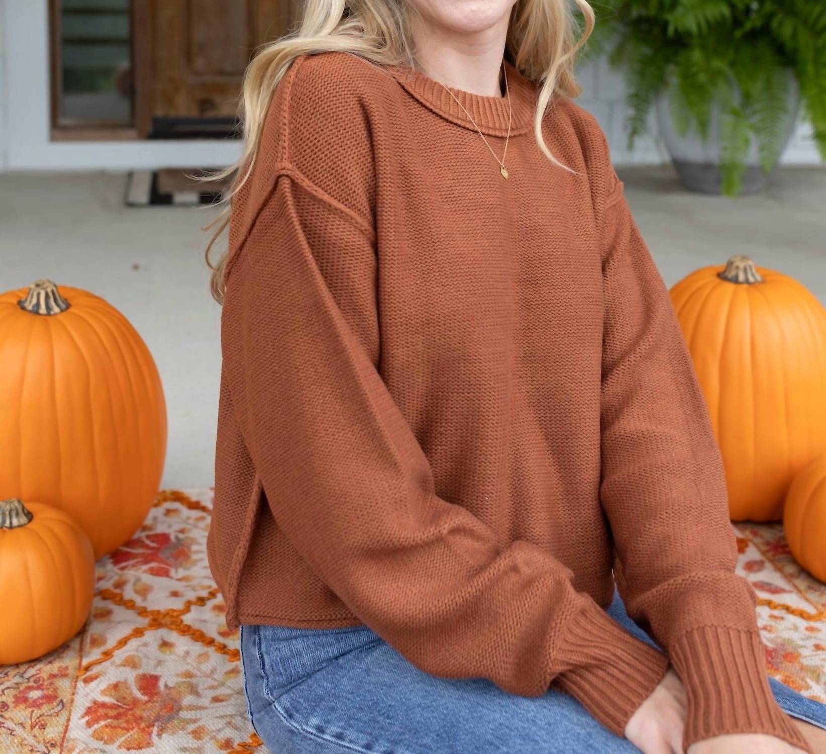 Double Zero Perfect Pumpkin Patch Long Sleeve Sweater in brown - women's sweater - detail view