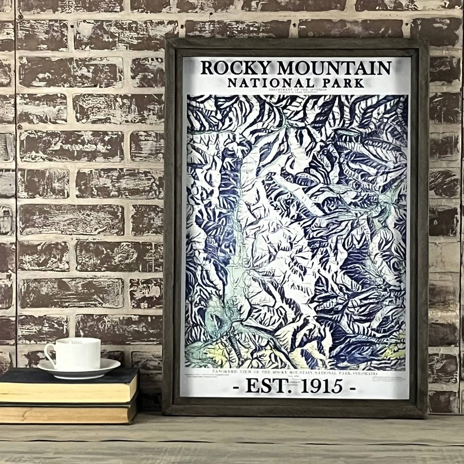 Second Chance Art & Accessories - Rocky Mountain National Park Vintage Framed Map