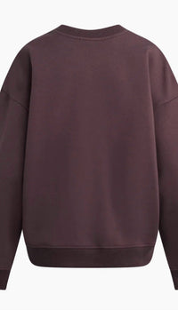 Favorite Daughter Collegiate Sweatshirt in burgandy - women's top - view 7