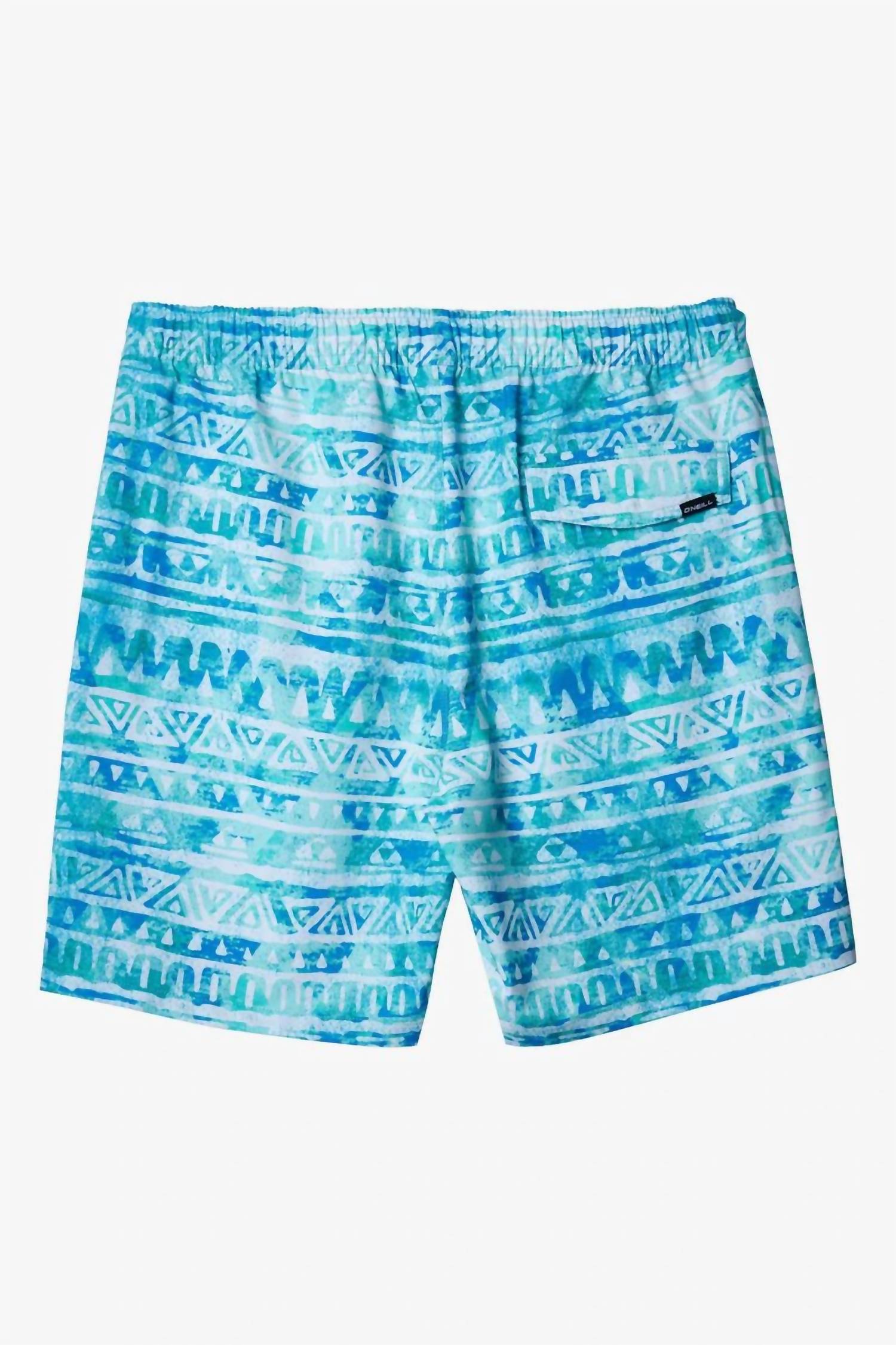 O'Neill - Men's Mashup Volleys