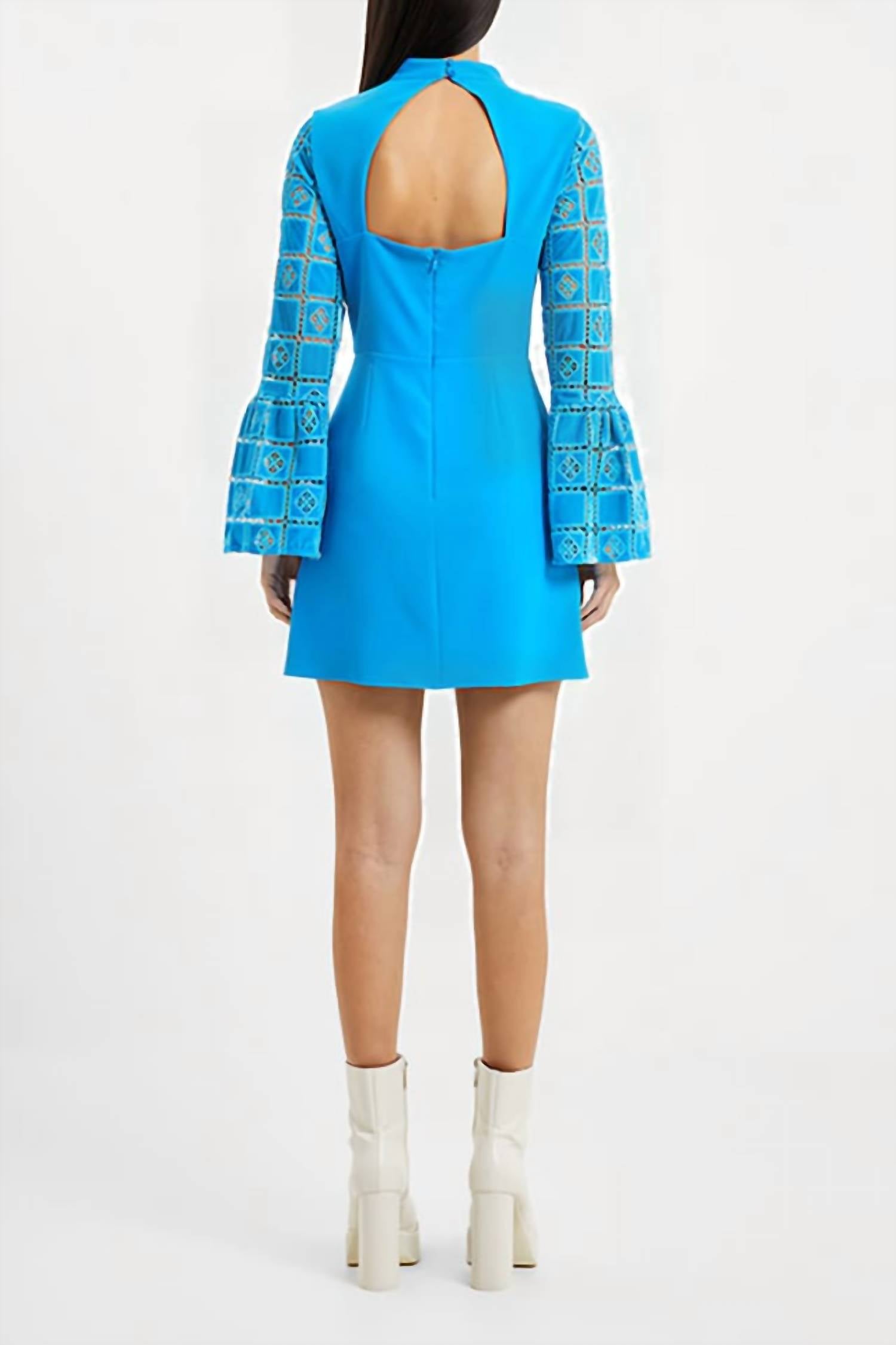 French Connection - Garnet Velvet Lace Mini Dress