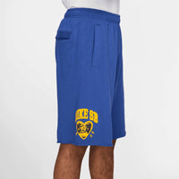 Nike - Sb Heart Skate Shorts