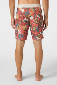 O'Neill - Hyperfreak Mysto Scallop Boardies