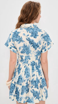 Cara Cara - Nash Mini Dress