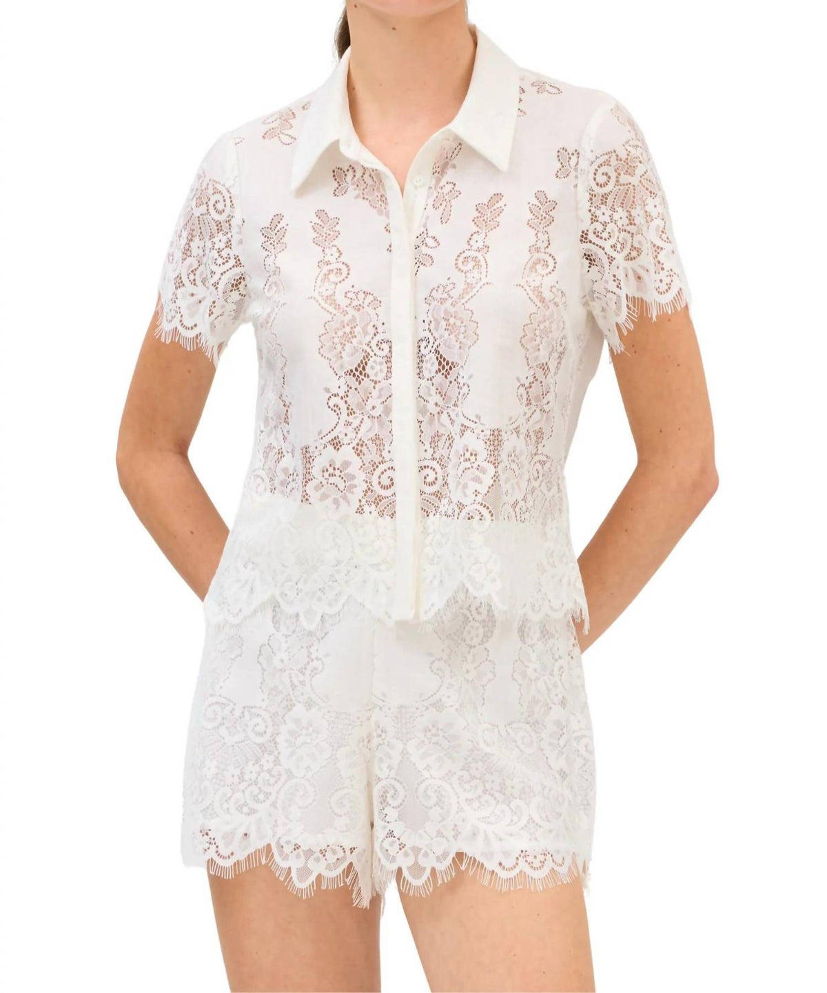 Allison New York - Sparrow French Lace Shorts
