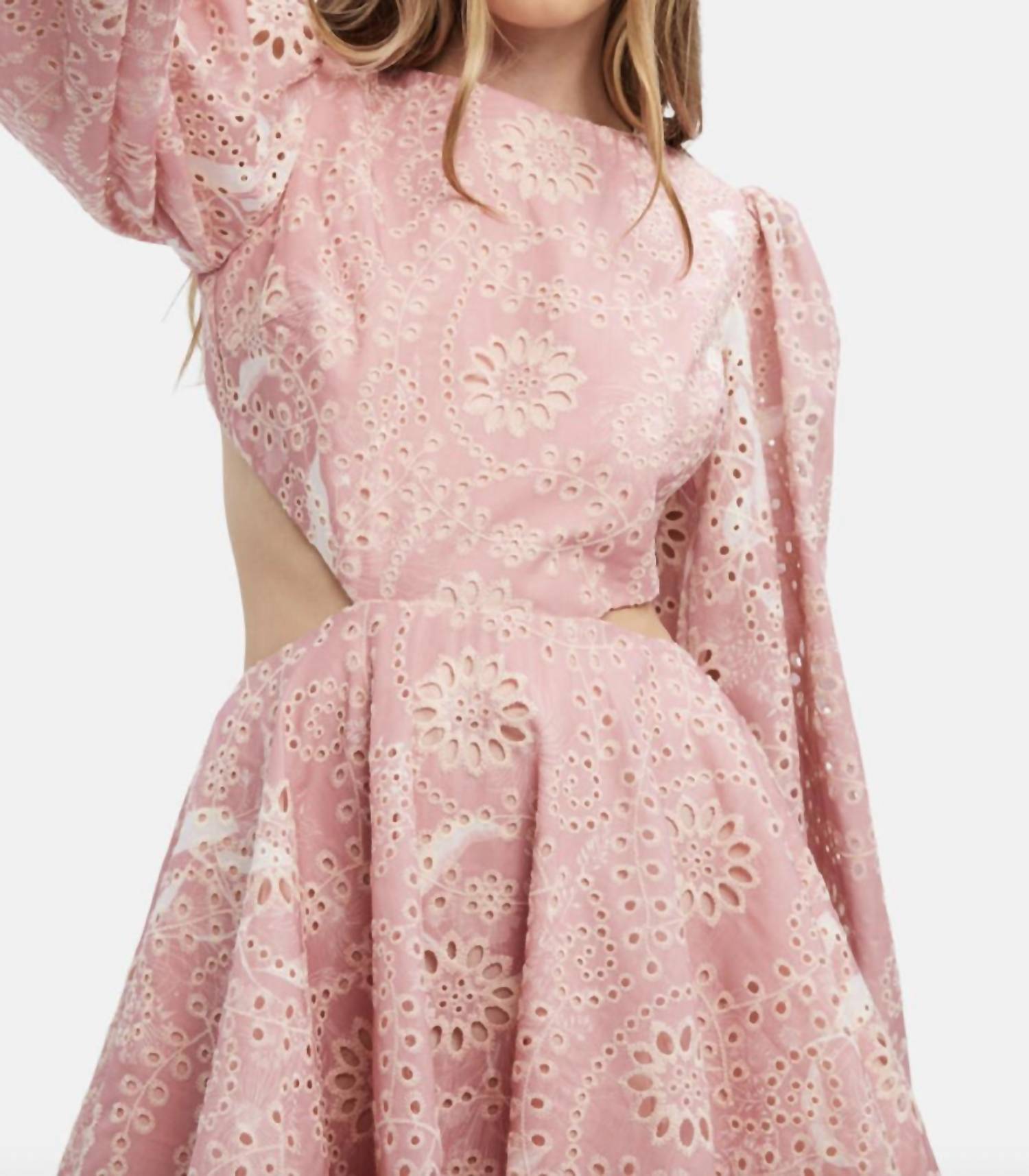 Bardot - Mila Broderie Mini Dress