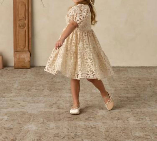 Noralee - Chloe Midi Dress