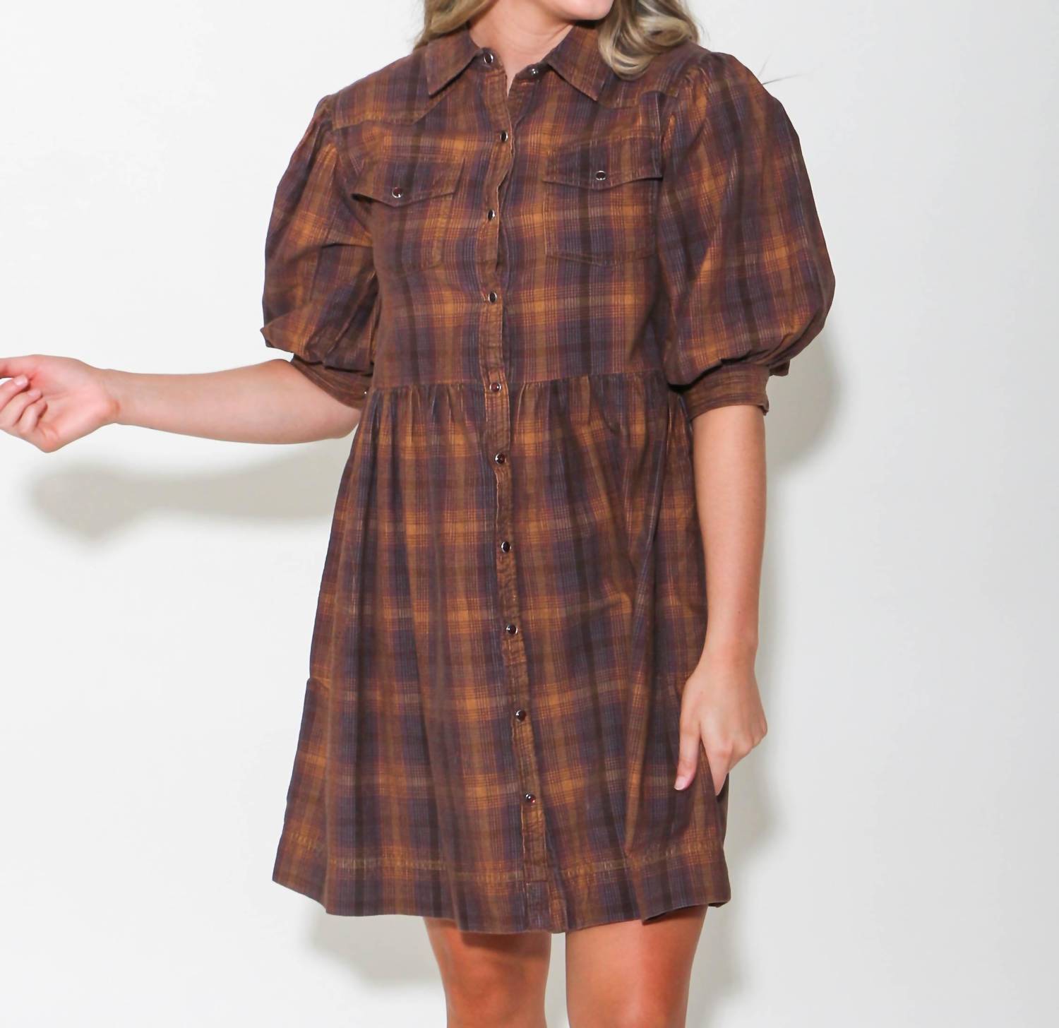 Ivy Jane - Ombre Plaid Snap Dress