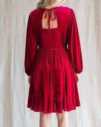 Jodifl - Angelica Long Sleeve Velvet Mini Dress