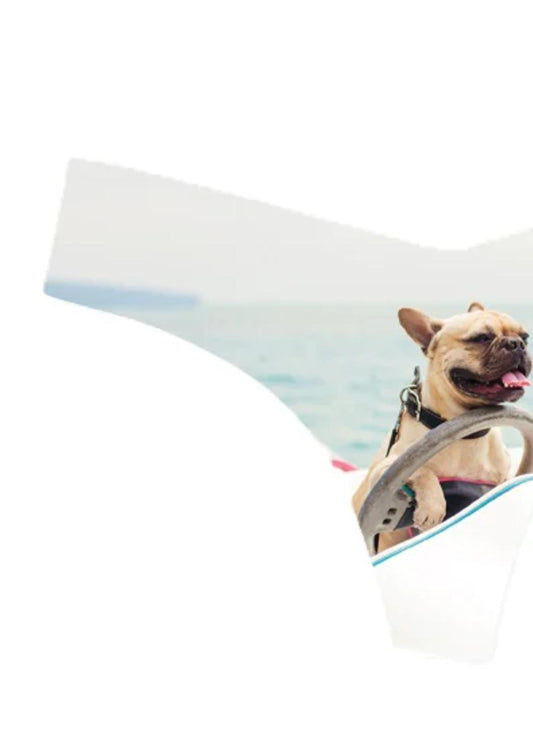 Commando - Women's Photo-op Thong Panty