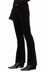 Sanctuary - Hayden Velvet Bootcut Standard Rise Pant