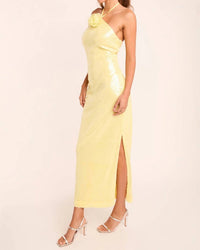 Endless Rose - Rose Sequin Halter Maxi Dress