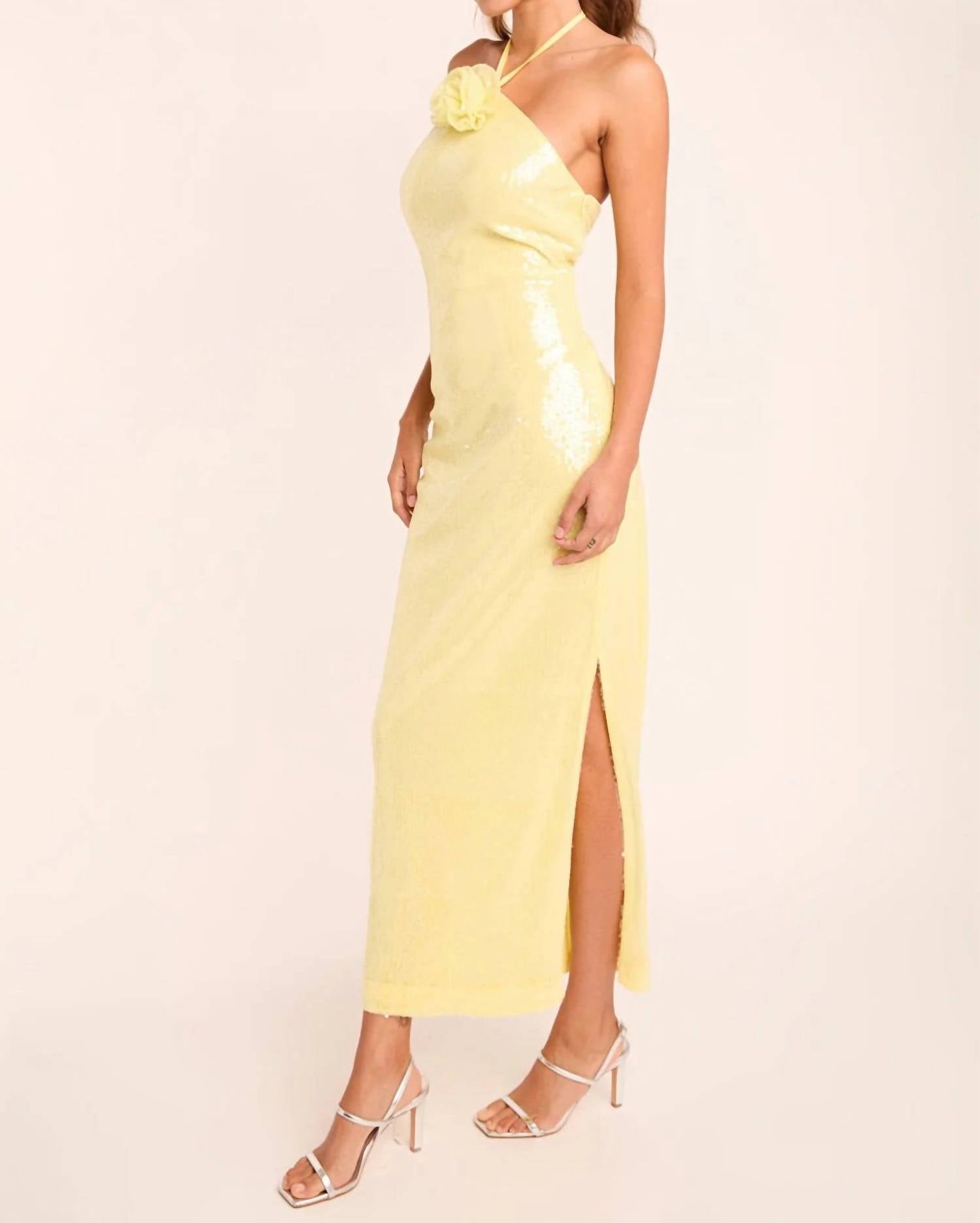 Endless Rose - Rose Sequin Halter Maxi Dress