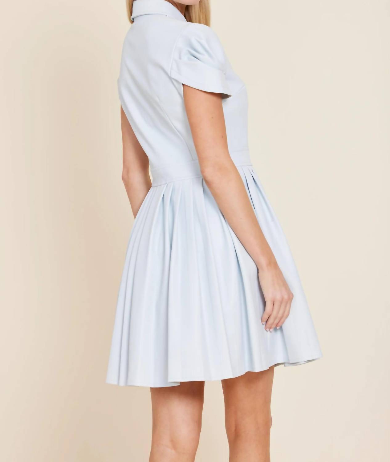 Dolce Cabo - Faux Leather Mini Dress
