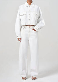 Agolde - Low Curve Barrel Jean