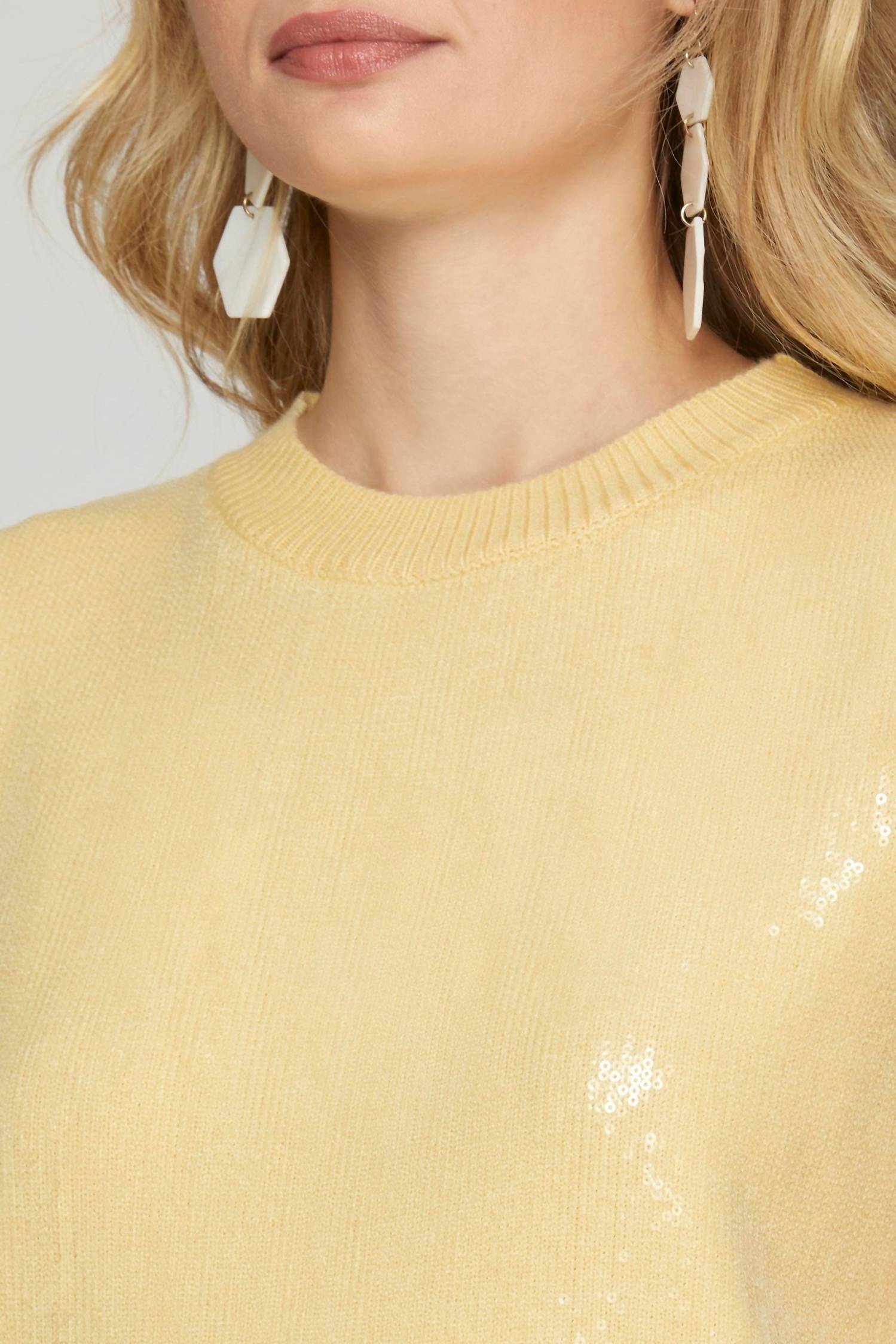 She + Sky - Sleeveless Sequin Knit Sweater Top