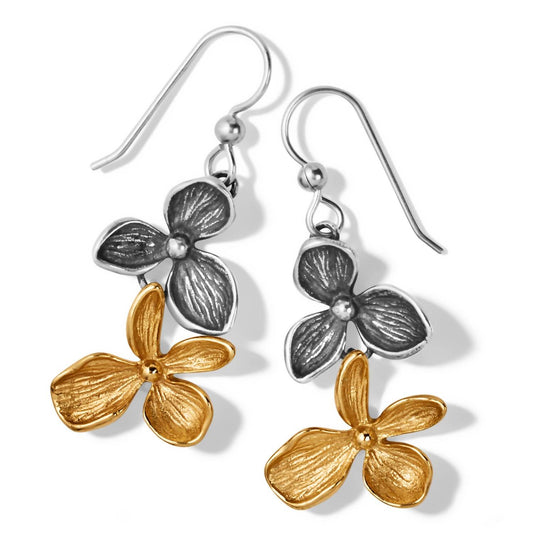 Brighton - Women's Everbloom Duo French Wire Earrings