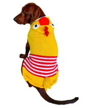 Chilly Dogs - Chicken Dog Sweater
