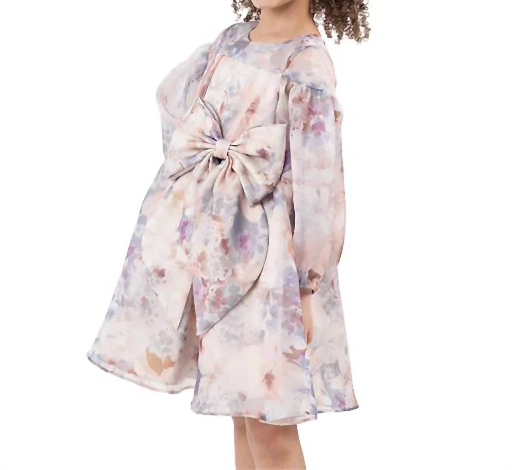 Rare Editions - Toddler & Little Girls Balloon Sleeve Floral Organza Dress