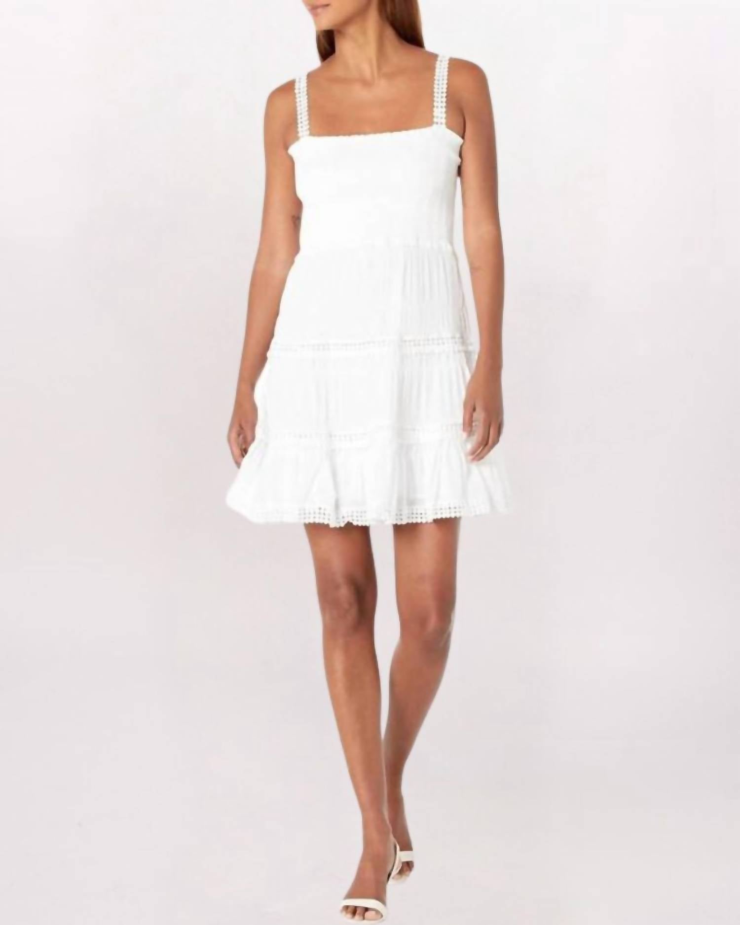 Bb Dakota - Happy Tiers Mini Dress