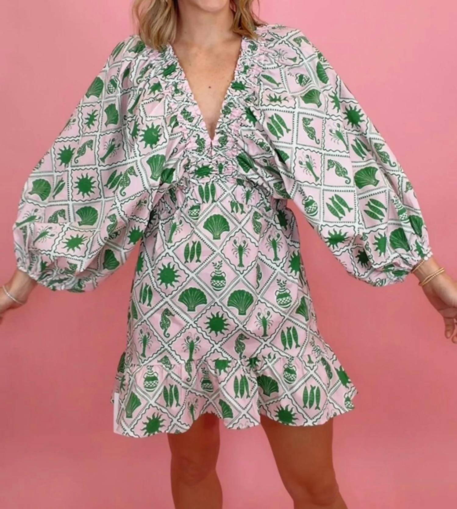 Show Me Your Mumu - Hadley Mini Dress
