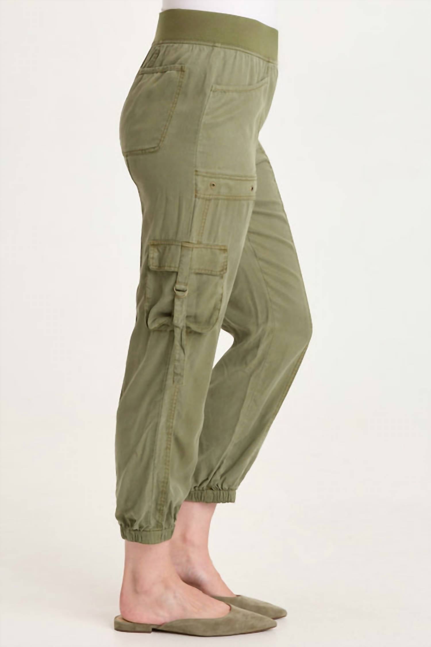 XCVI Olexa Twill Banded Cargo Pant in espalier pigment - women's pants - detail view