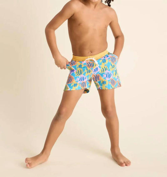 Chubbies - Toddler Fish Tanks Swim Trunks