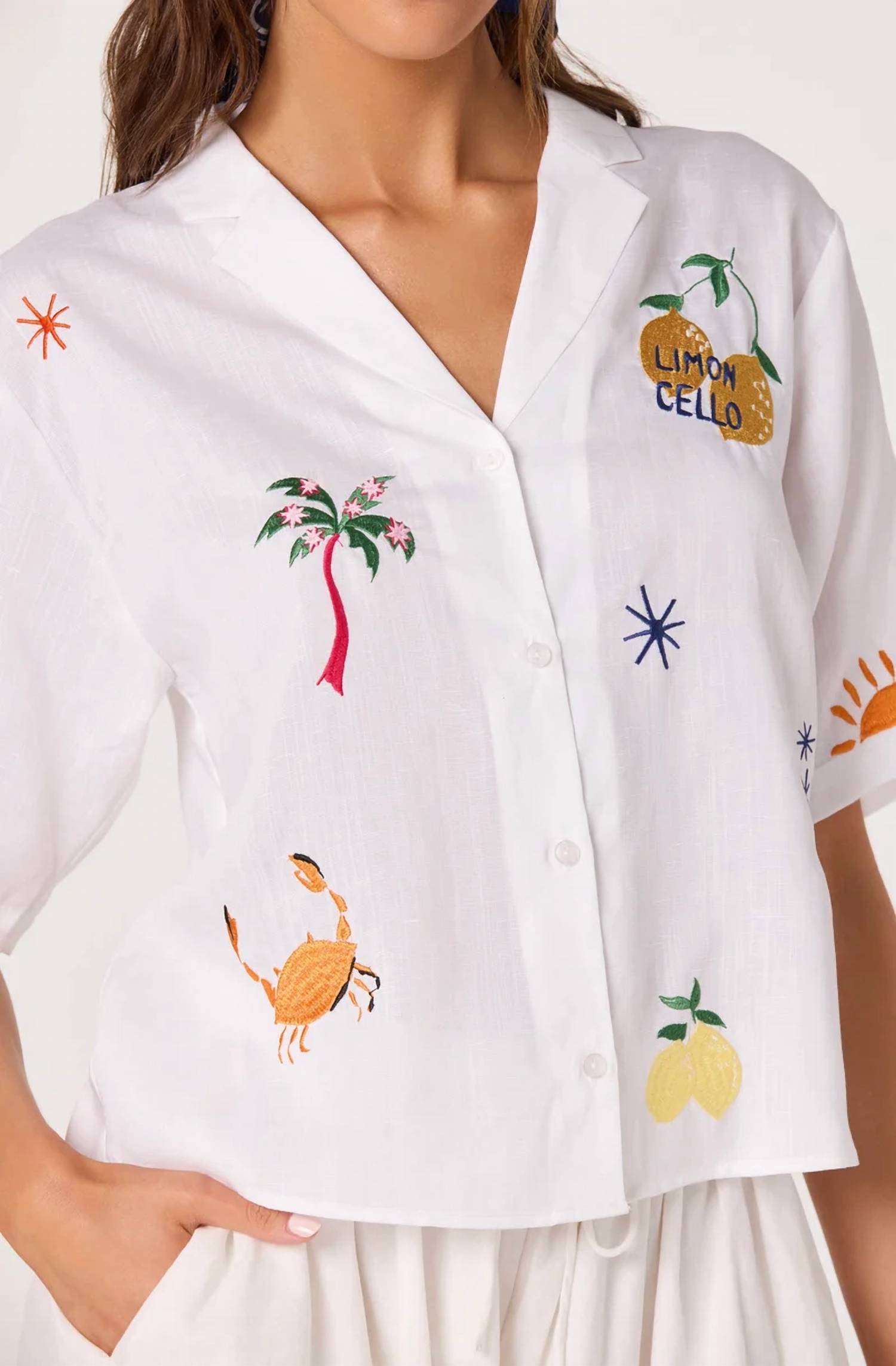Astr - Vesa Embroidered Linen Button-up Top