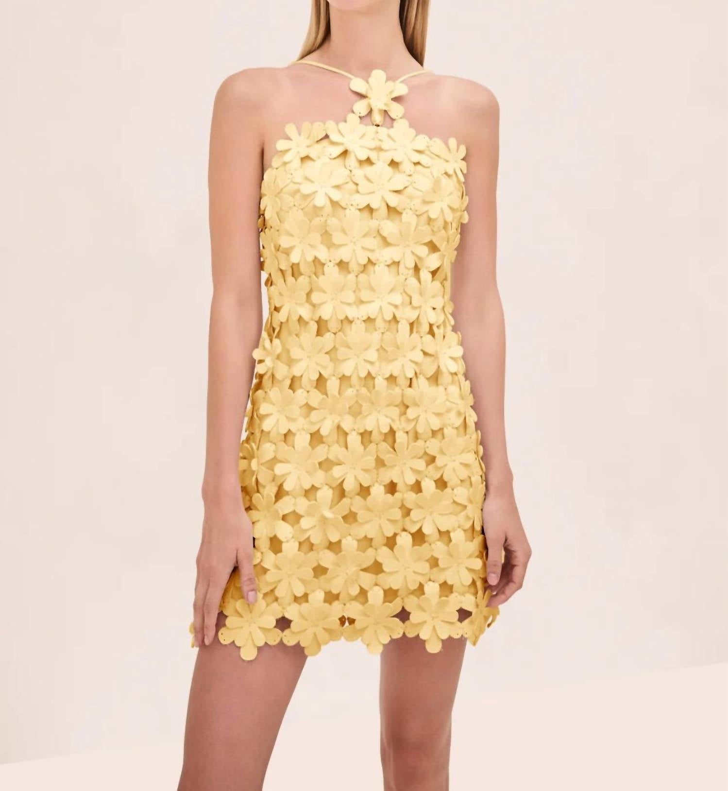 Alexis - Lily Mini Dress