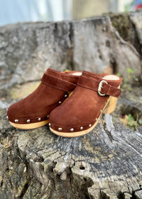 Steve Madden - Women's Studded Suede Clog