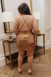 Shining in Sequins Dress