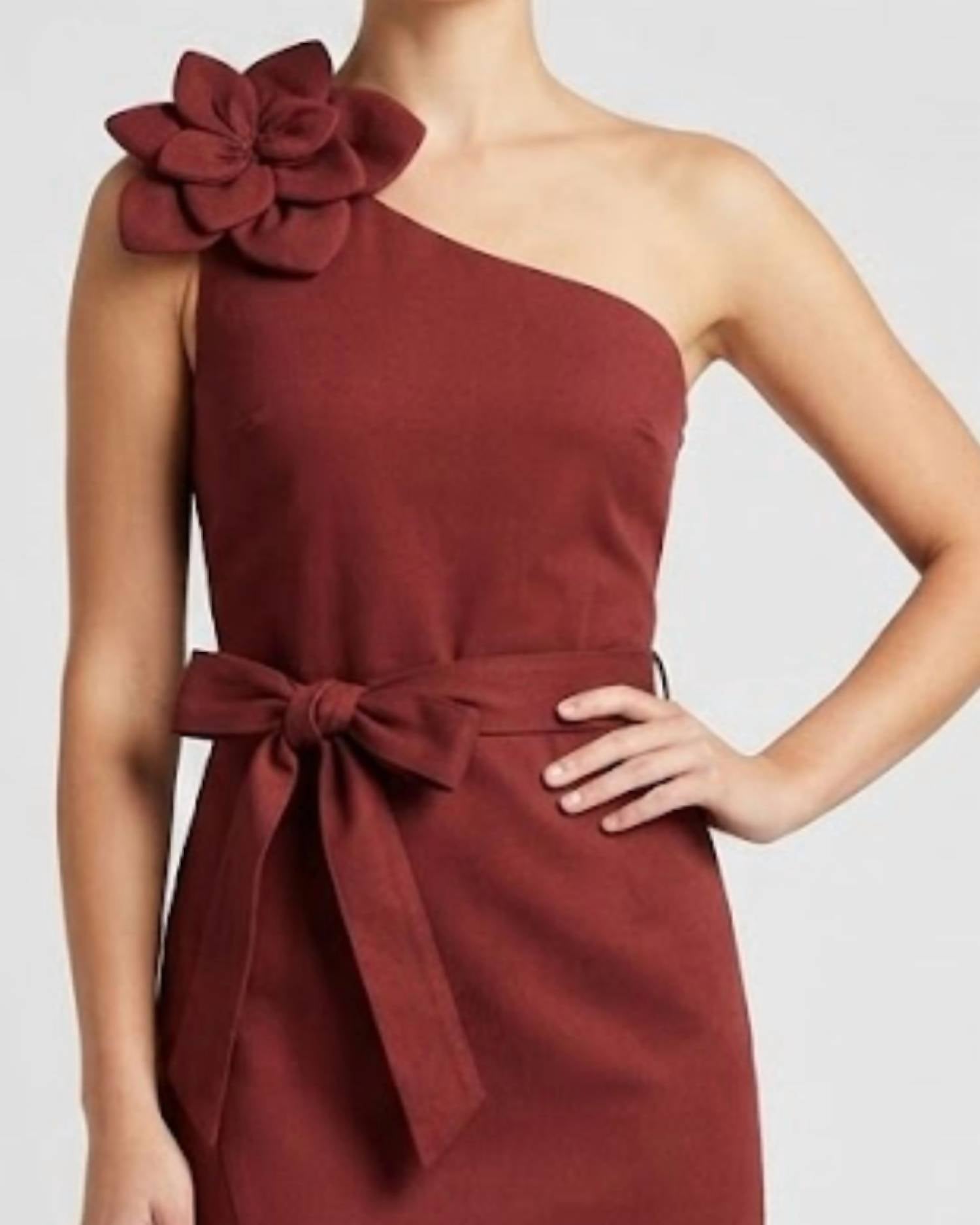 ENDLESS BLU. Made You Look Midi Dress in rust - women's dress - detail view