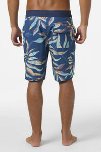 O'Neill - Hyperfreak Mysto Scallop Boardies