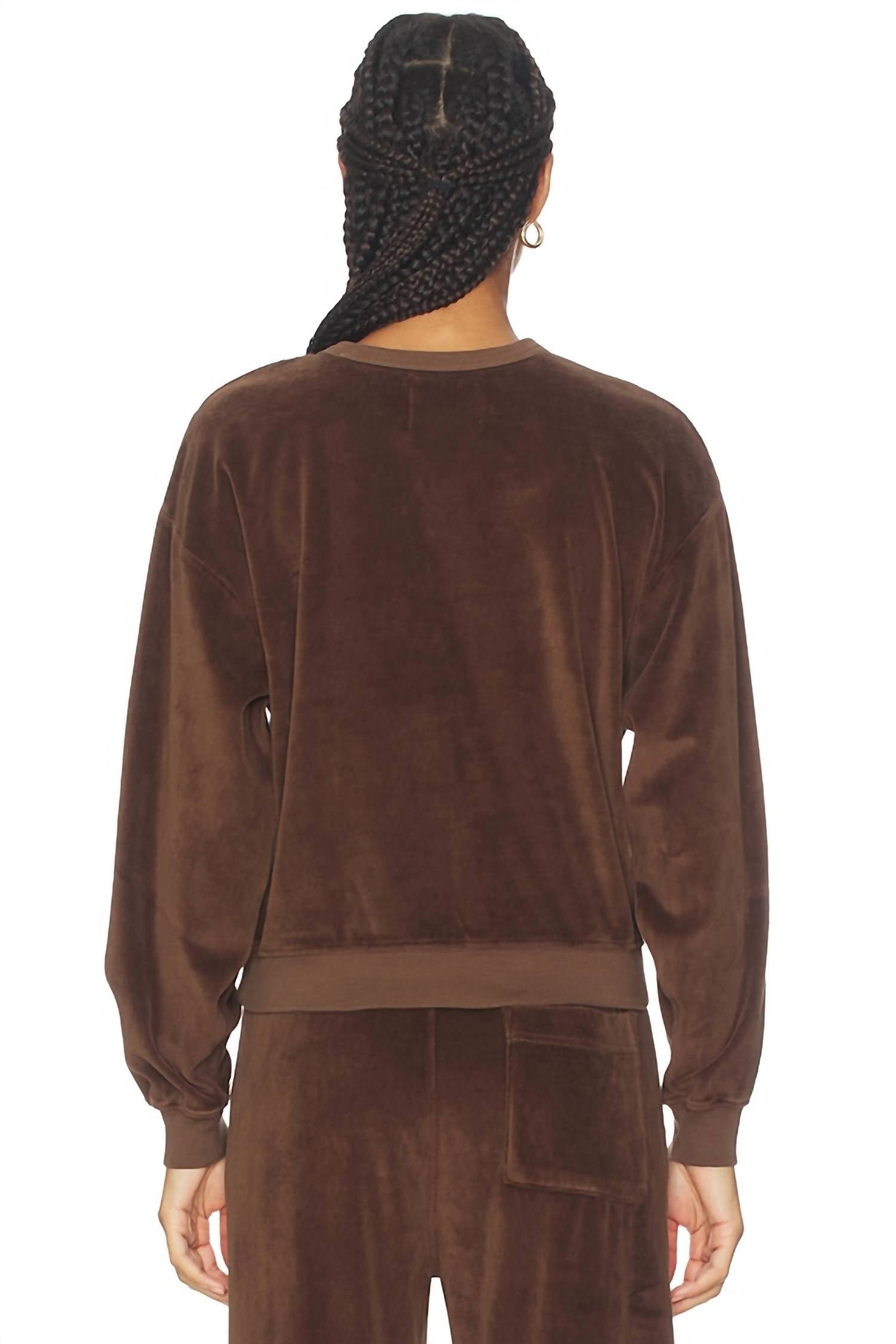 Citizens of Humanity Vintage Crewneck Sweatshirt in camello - women's top - alternate view