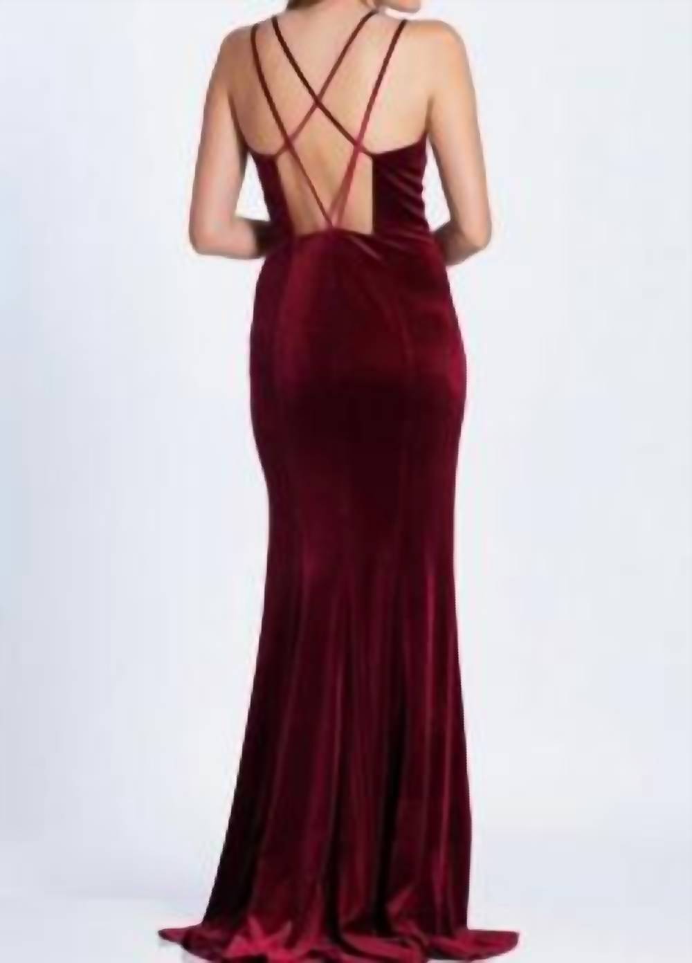 Fitted Velvet Dress
