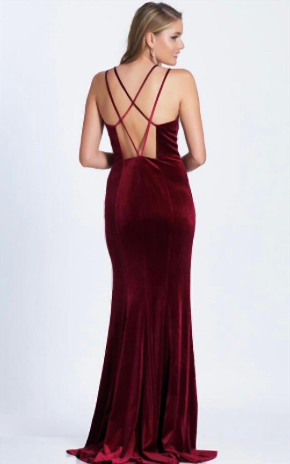Fitted Velvet Dress