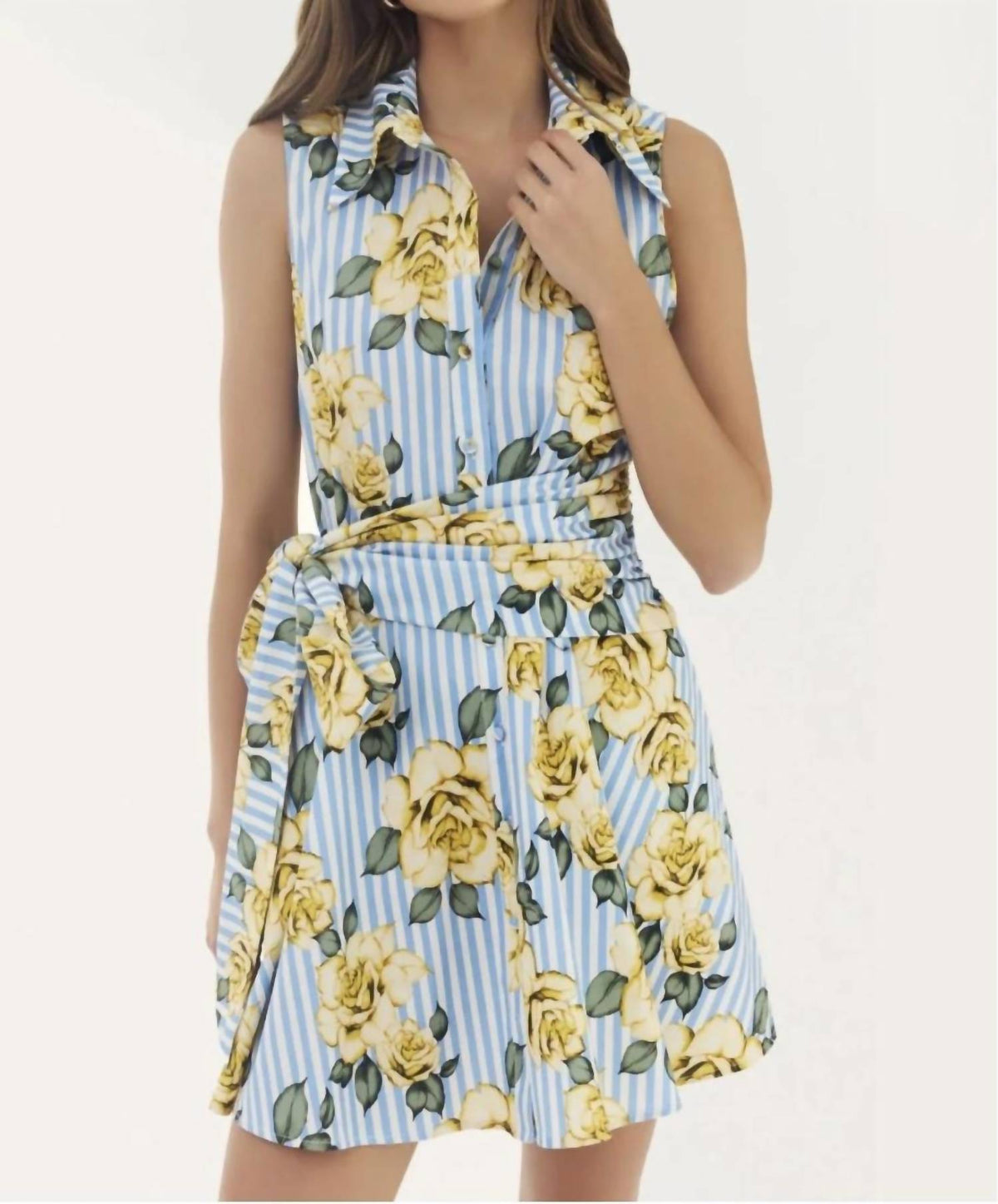 Hutch - biltmore dress