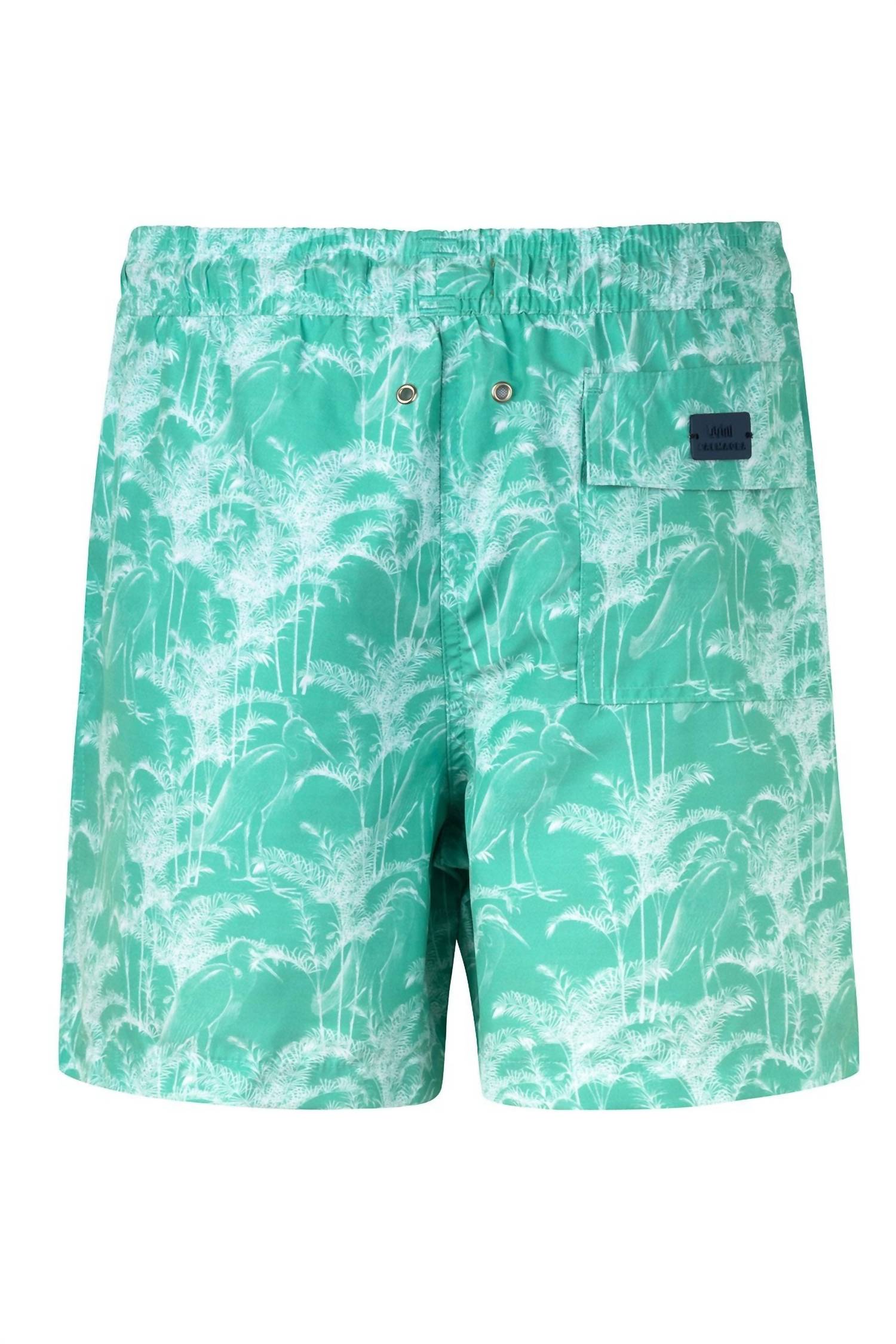 Palmacea - Vuelo Swim Trunk