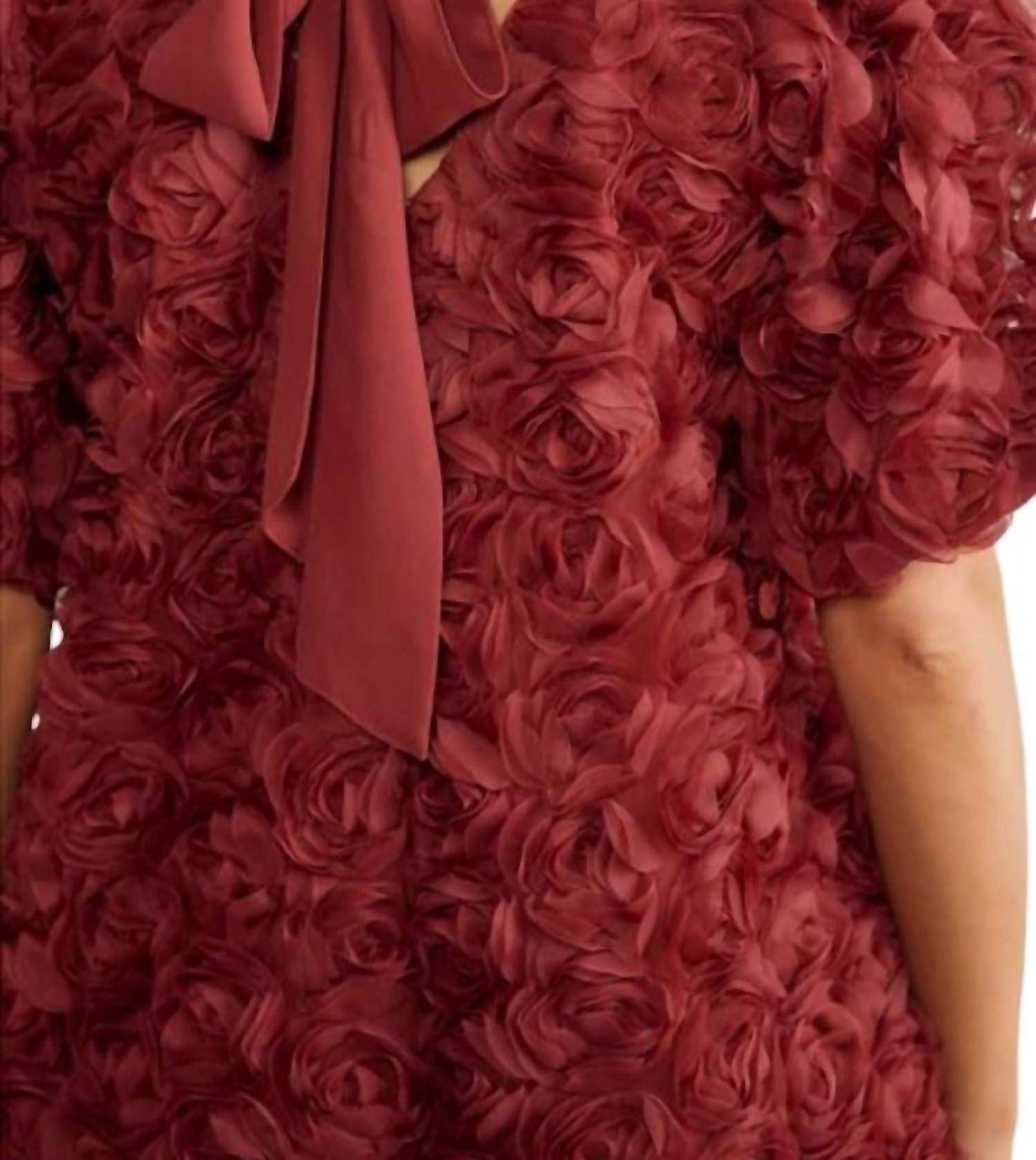 In February - Ribbon Mini Dress