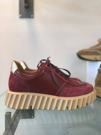 Bruno Menegatti - Women's Piemonte Sneaker