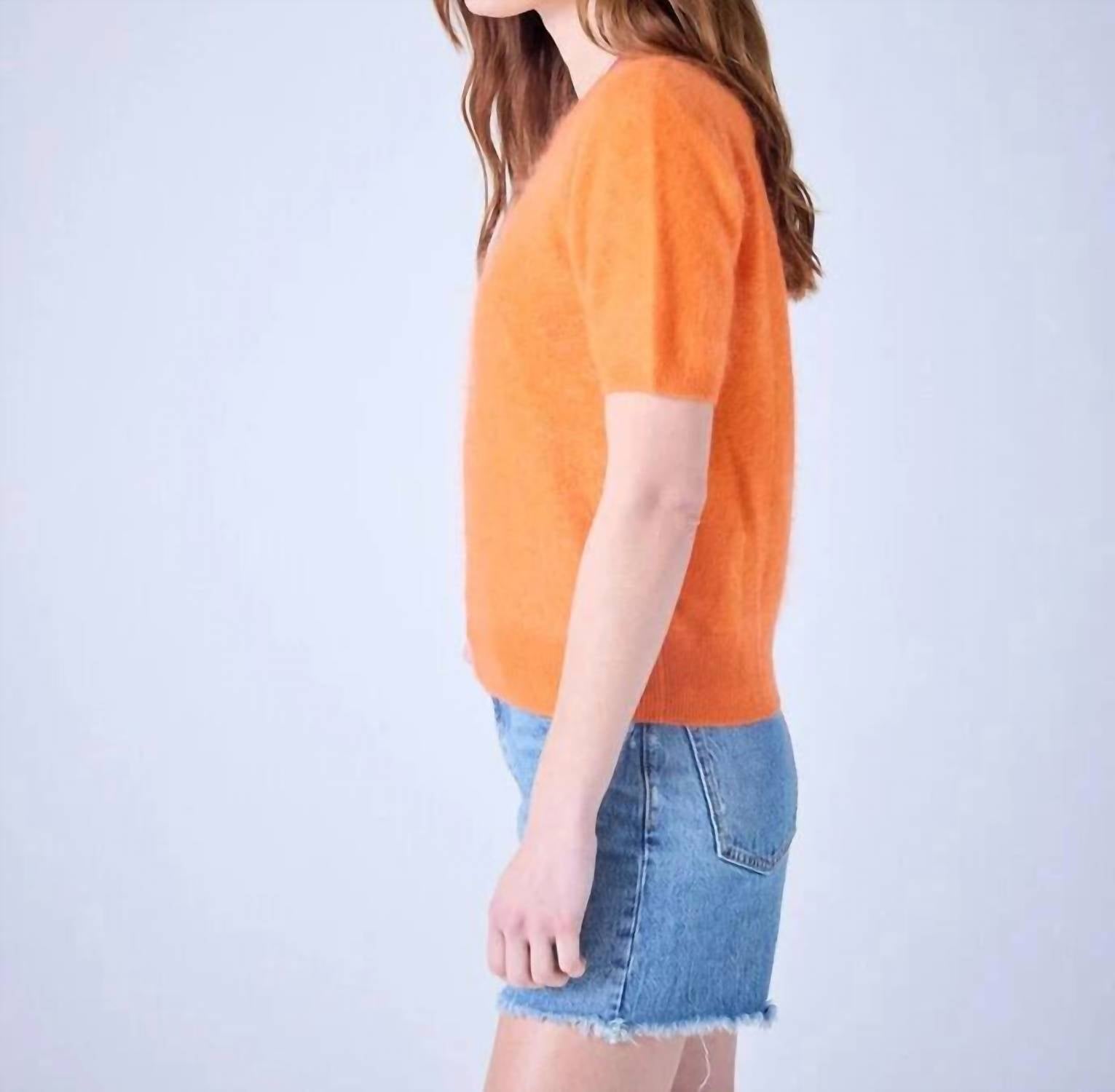 Absolut Cashmere - Amaya Brushed Round Neck Sweater