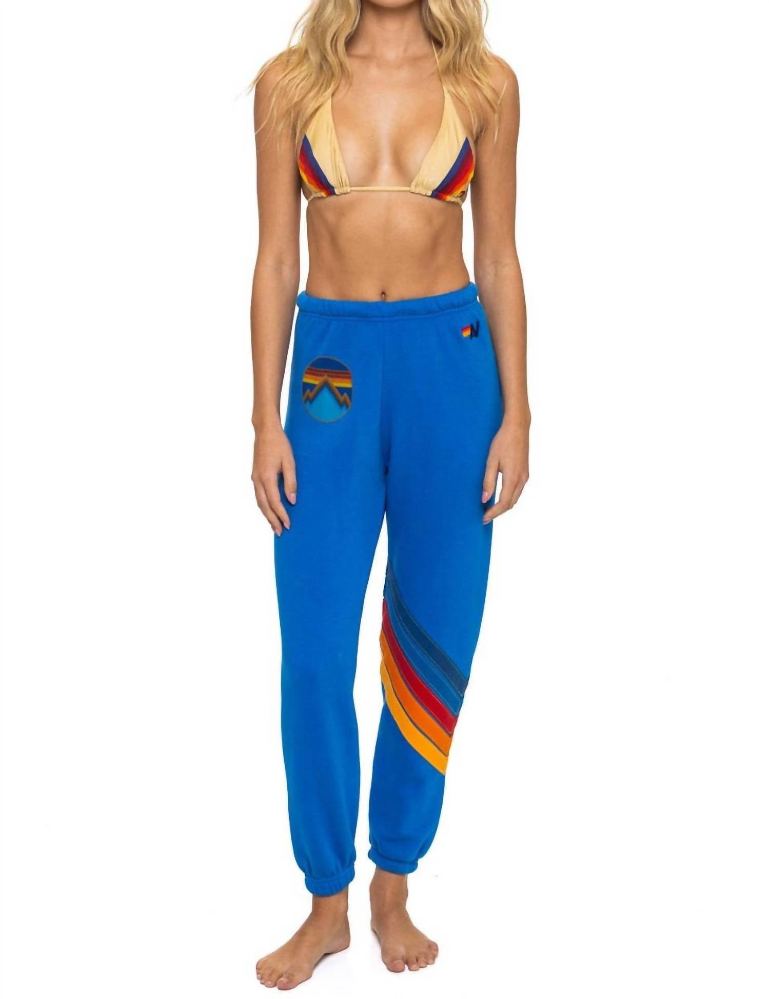 Aviator Nation - All Seasons Circle Chevron Sweatpants