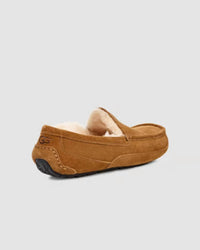 Ugg - Men's Ascot Slipper