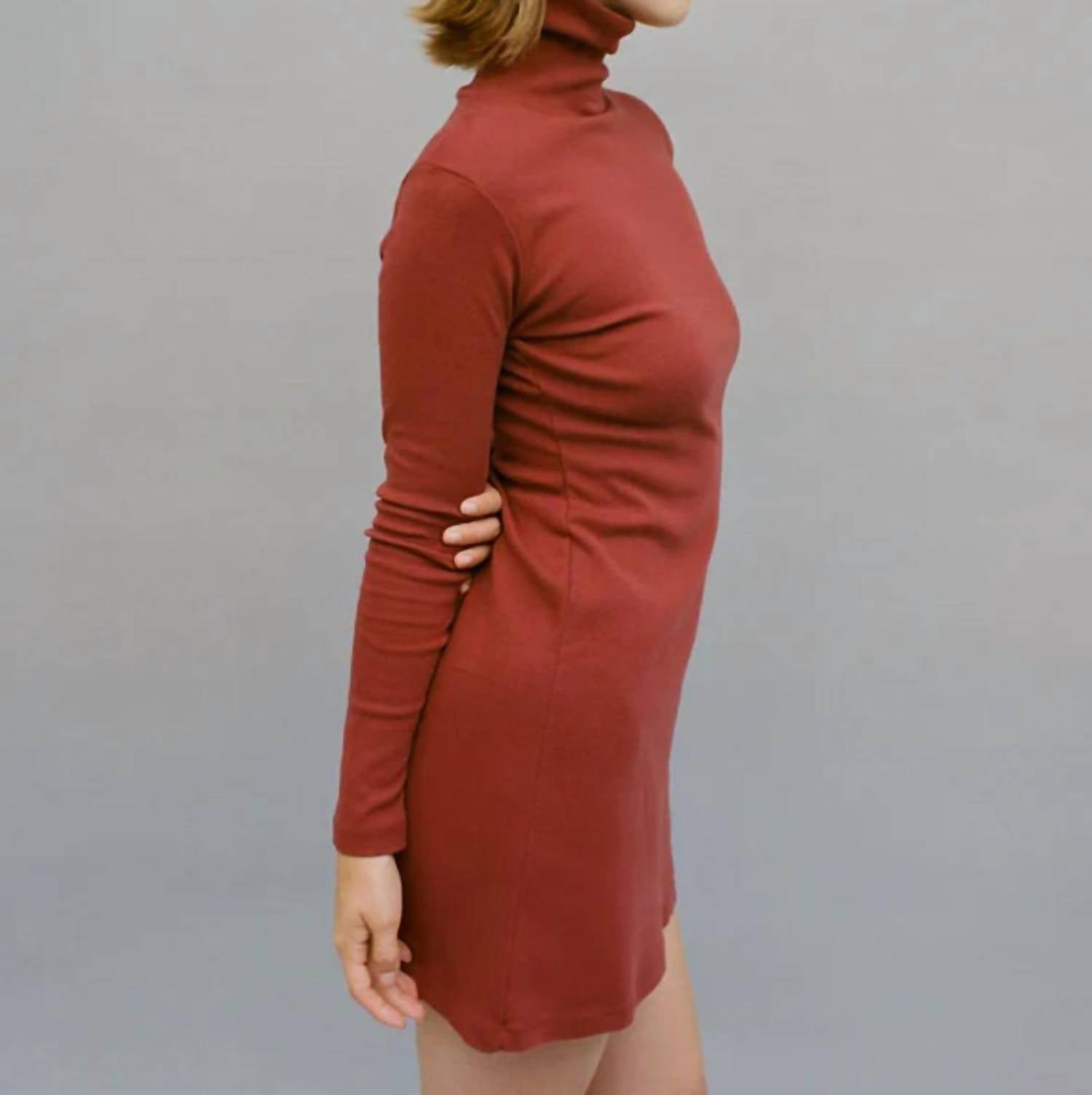 GIL RODRIGUEZ Turtleneck Bellevue Mini Dress in dahlia - women's dress - detail view