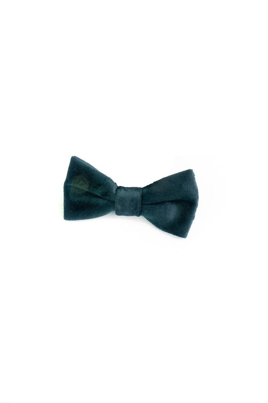 Appaman - Kids' Bow Ties