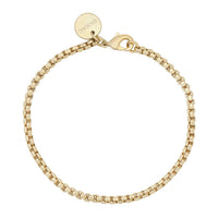 Eklexic - Women's Thin Luciana Anklet